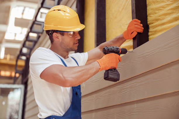 Best Siding Painting and Refinishing  in Parkers Prairie, MN